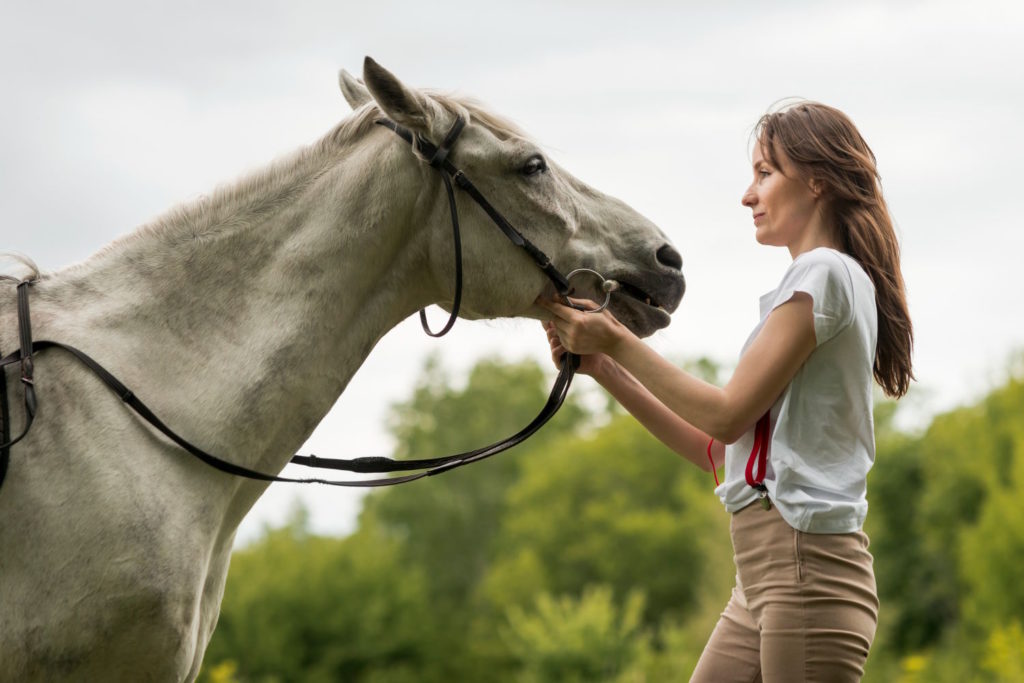 Każdy właściciel konia wie, jak ważne jest zapewnienie swojemu podopiecznemu odpowiedniej opieki i bezpieczeństwa