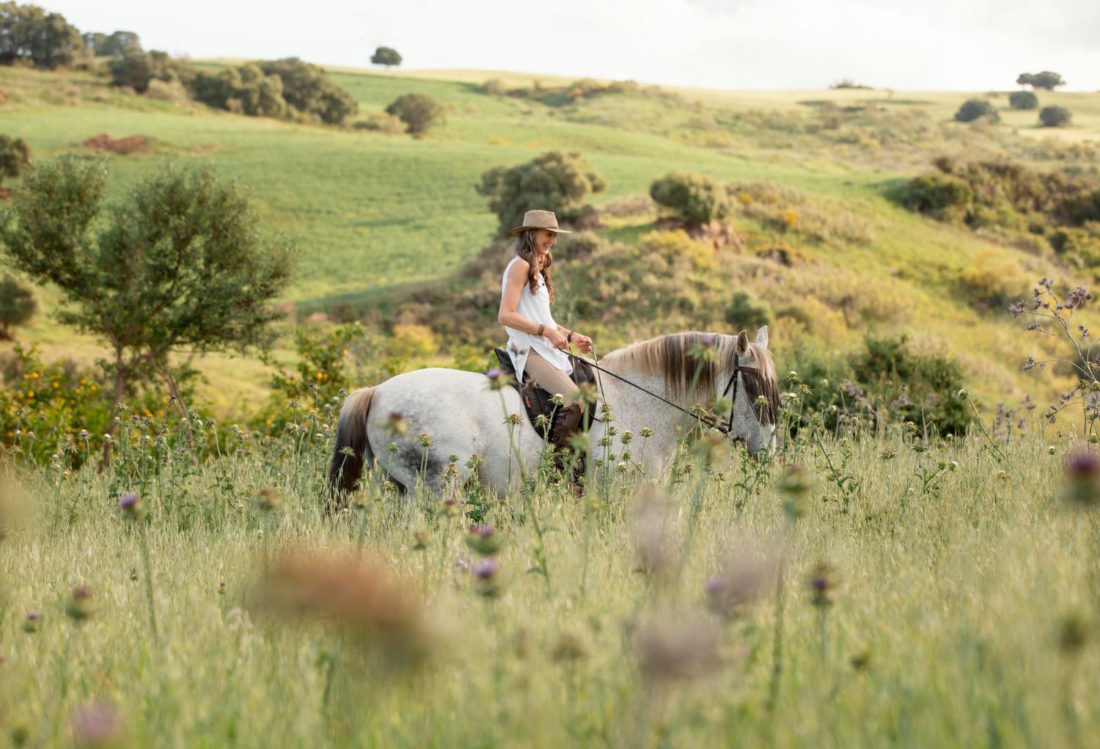 Ubezpieczenie konia – klucz do bezpiecznej przyszłości Twojego podopiecznego